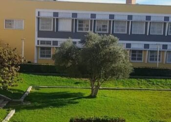 Educación online: Sí pero No.