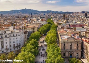 La ciutat es reescriu en verd: Barcelona avança cap a un model urbà que substitueix l’asfalt per vida