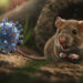 Emergència en alta mar: tres morts per possible hantavirus en un creuer generen alarma sanitària i tensió internacional