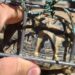 La Guardia Civil interviene cuatro tortugas en peligro de extinción en una casa de Alella