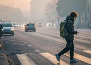 La combinación de partículas de contaminación atmosférica causan 146.500 muertes prematuras en Europa