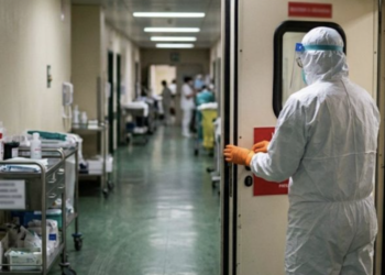 Dues dones aïllades per hantavirus a Barcelona i Alacant donen negatiu i continuen en observació