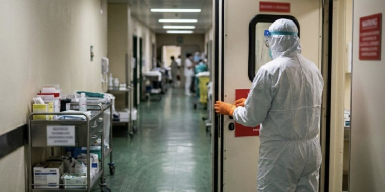 Dues dones aïllades per hantavirus a Barcelona i Alacant donen negatiu i continuen en observació