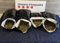 Detenen quatre persones i desmantellen un centre de producció i distribució de marihuana a Martorell