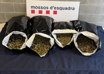 Detenen quatre persones i desmantellen un centre de producció i distribució de marihuana a Martorell