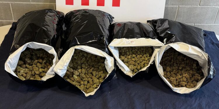Detenen quatre persones i desmantellen un centre de producció i distribució de marihuana a Martorell