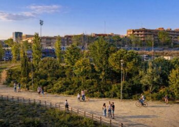 Pequeños bosques para combatir el calor y ganar espacios verdes