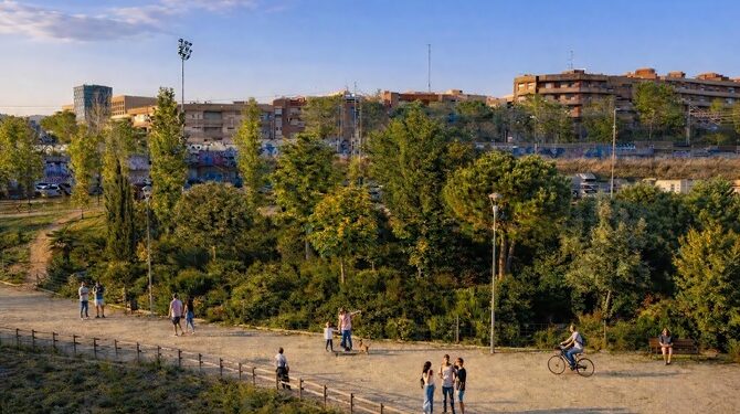 Pequeños bosques para combatir el calor y ganar espacios verdes