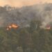 El Govern apuesta por una nueva estrategia de gestión forestal