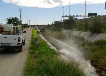 La Diputació presta suport per controlar la transmissió de malalties per picades de mosquits