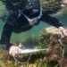 La Generalitat impulsa el primer gran pla de restauració dels ecosistemes marins de Catalunya