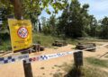 Las restricciones en Collserola por la peste porcina se mantendrán hasta pasado el verano