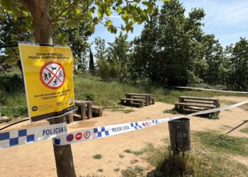 Las restricciones en Collserola por la peste porcina se mantendrán hasta pasado el verano