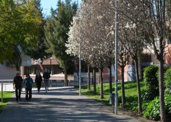 Cornellà consolida una transformación urbana con impacto ambiental, social y en la salud pública