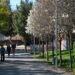 Cornellà consolida una transformació urbana amb impacte ambiental, social i en la salut pública