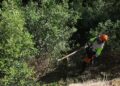 El AMB destina 1,35 millones a prevenir incendios forestales