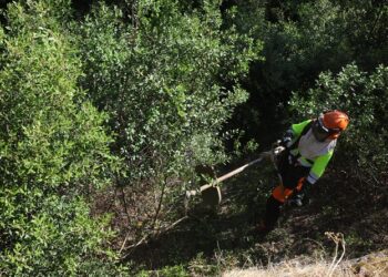 El AMB destina 1,35 millones a prevenir incendios forestales