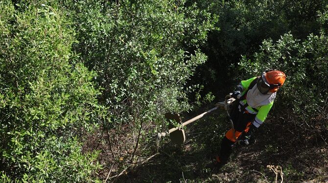 El AMB destina 1,35 millones a prevenir incendios forestales
