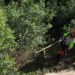 L’AMB destina 1,35 milions a prevenir incendis forestals