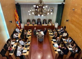 Badalona dona llum verda a la modificació del PGM per ampliar el campus de Can Ruti