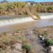 La recuperació socioambiental del riu Llobregat, finalista dels Premis REGIOSTARS