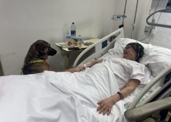 Los pacientes ingresados ​​en el Hospital de Martorell pueden recibir la visita de sus mascotas