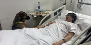 Els pacients ingressats a l’Hospital de Martorell poden rebre la visita de les seves mascotes
