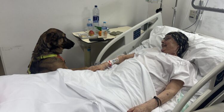 Els pacients ingressats a l’Hospital de Martorell poden rebre la visita de les seves mascotes