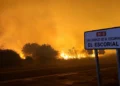 L’incendi de Madrid i Àvila alerta Catalunya davant dels focs extrems