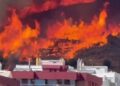 Incendi a Collserola: 45 hectàrees cremades i dos barris de Barcelona confinats pel foc
