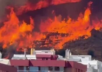 Incendio en Collserola: 45 hectáreas quemadas y dos barrios de Barcelona confinados por el fuego