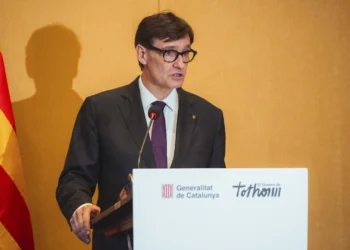 La peste porcina africana alcanza los 379 positivos en Catalunya con nuevos casos en Barcelona, Molins de Rei y Esplugues