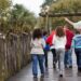 Utilitzar els espais verds i crear un vincle amb la natura és beneficiós per al benestar infantil