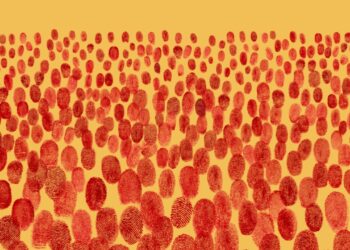 La commemoració de la Diada arriba a una vintena de països d’arreu del món