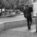 L’Hospitalet muestra con fotografías cómo se recuperó la normalidad tras la pandemia