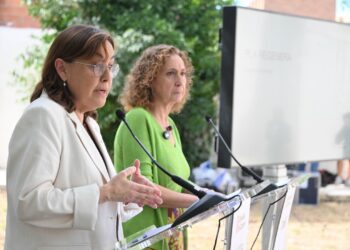 El plan Regenera destinará 255 millones anuales a rehabilitar viviendas y ampliar el parque público