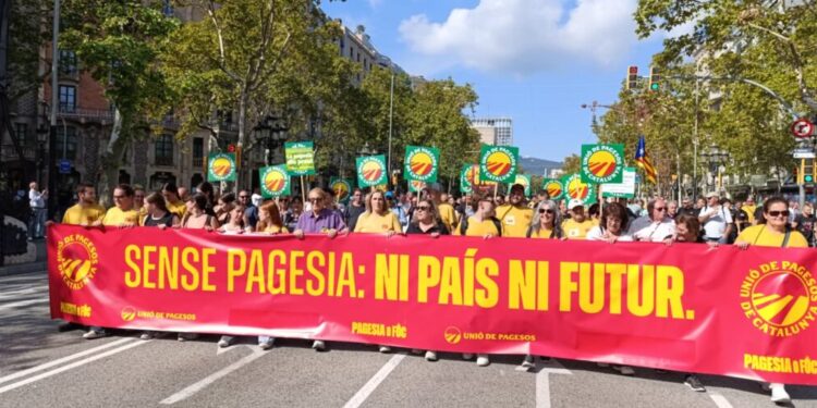 Els pagesos reclamen mesures estructurals per salvar el sector