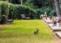 El cementerio Roques Blanques permite enterrar mascotas con sus dueños