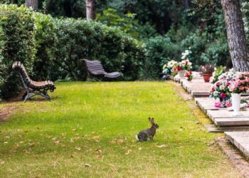 El cementiri Roques Blanques permet enterrar mascotes amb els seus amos