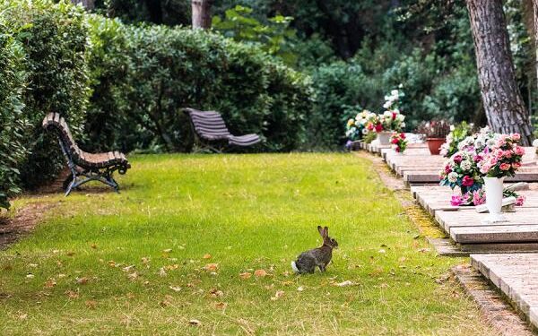 El cementiri Roques Blanques permet enterrar mascotes amb els seus amos